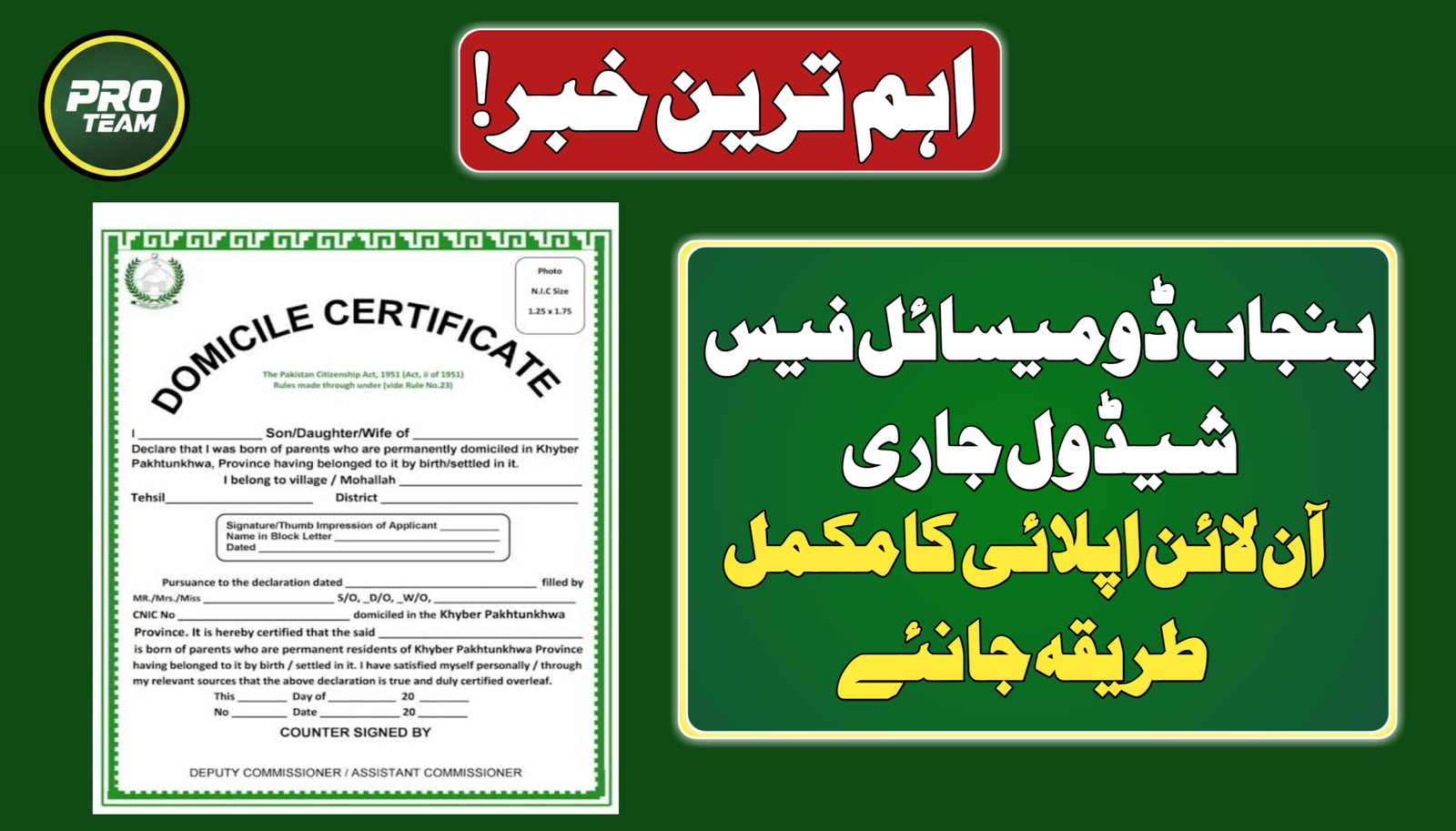 New Punjab Domicile Fee